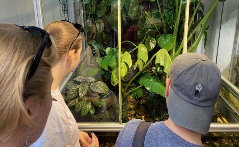 Three people look into an enclosure enclosed by panes of glass, in which many plants can be seen.