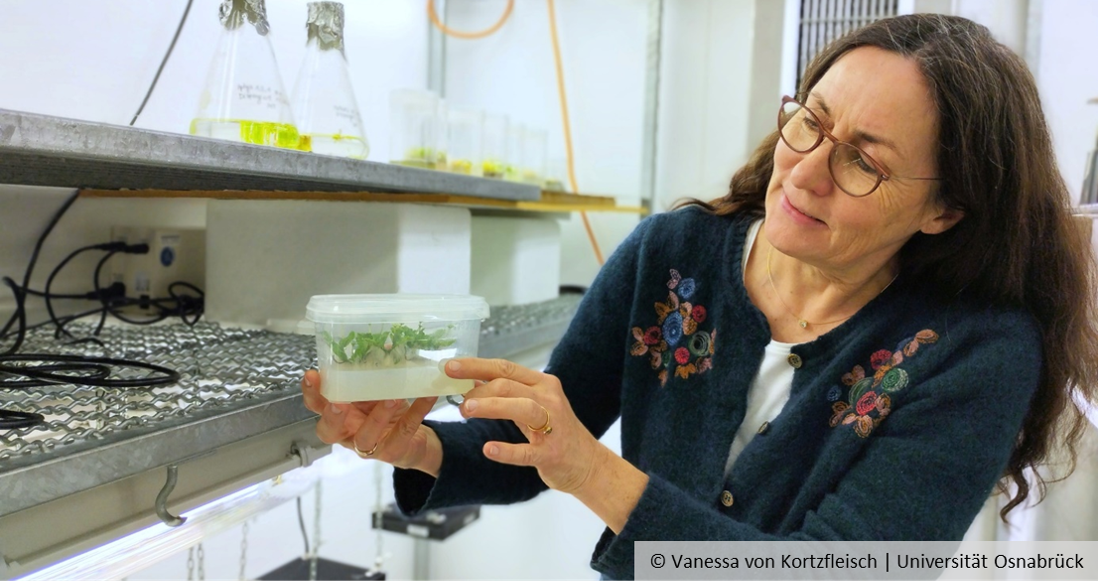 Sabine Zachgo is standing in the laboratory holding a plastic bowl in which green plants can be recognised.