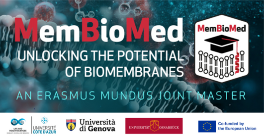 Vor der Grafik einer Zellmembran ist ein Logo des Studiengangs MemBioMed zu sehen, sowie der Schriftzug "Unlocking the potential of biomembranes: An Erasmus Mundus joint master". Unter der Grafik sind Logos der Universitäten in Nizza, Genua und Osnabrück zu sehen sowie die EU-Flagge mit dem Schriftzug "Co-funded by the European Union".