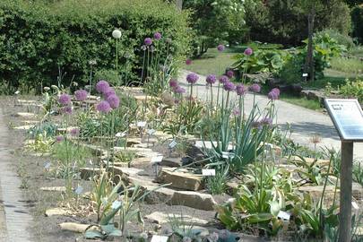 Botanischer Garten Universitat Osnabruck